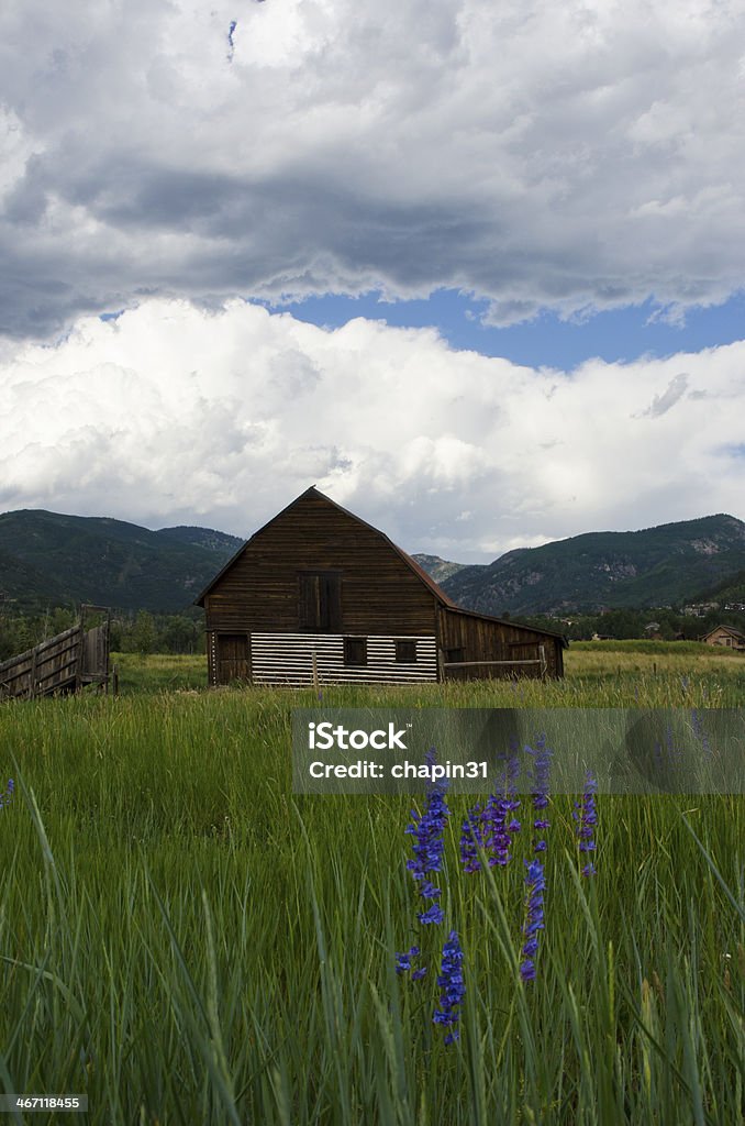 Steamboat Springs Barn and Oncoming Storm The old barn at Steamboat Springs, Colorado is an iconic fixture.  Here it is photographed with deep purple penstemon and grasses in the foreground, and angry clouds gathering over the mountains, casting the Yampa Valley into shadow. Agricultural Building Stock Photo