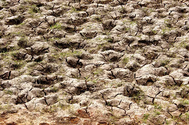 Dry mud road.