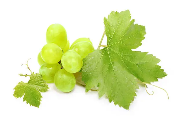 Photo of Grapes and leaves on a white background 