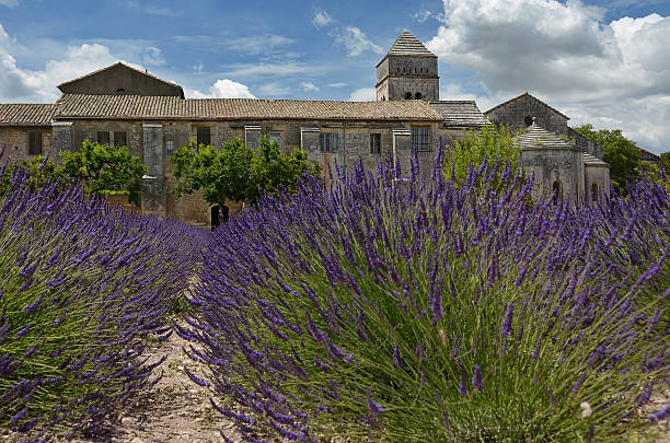 Vincent van Gogh's Asylum in Saint-Remy, France Lavender field in Vincent van Gogh's Saint-Paul Asylum in Saint-Remy, France vincent van gogh painter photos stock pictures, royalty-free photos & images