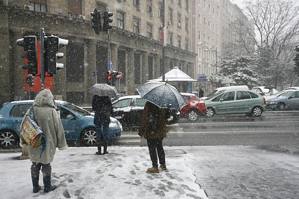 persone con ombrello durante la tempesta di neve auto pedonale - sleet foto e immagini stock
