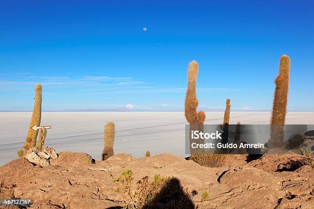 Salar De Uyuni Boliwia Ameryka Południowa - zdjęcia stockowe i więcej obrazów Ameryka Południowa - Ameryka Południowa, Bez ludzi, Biały