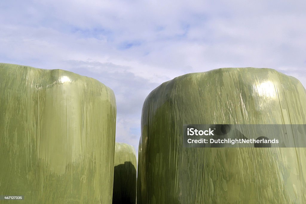 Plastic hay bales. Plastic hay bales at the farms in Zelhem, The Netherlands. Agricultural Machinery Stock Photo