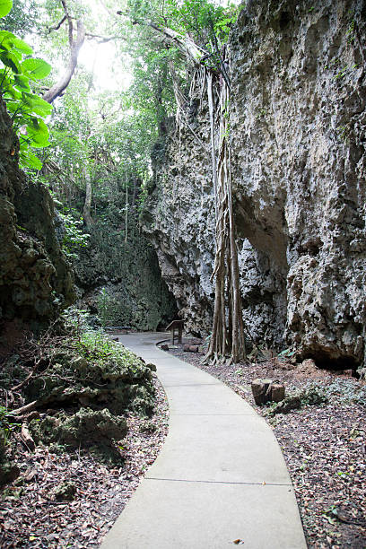 istock Footpath, Kenting (Kending) National Forest recreation area, Taiwan 467128378