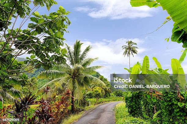 Exuberant Tahiti Stock Photo - Download Image Now - Breadfruit, Tahiti, Tree