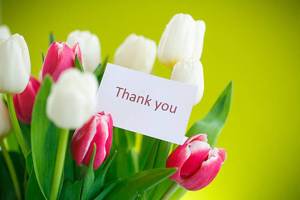 istock bouquet of tulips 467142814