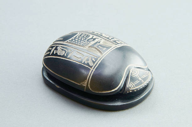 Beetle scarab out of Egypt on a gray background.