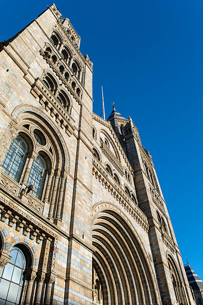istock Natural History Museum, London 467144093