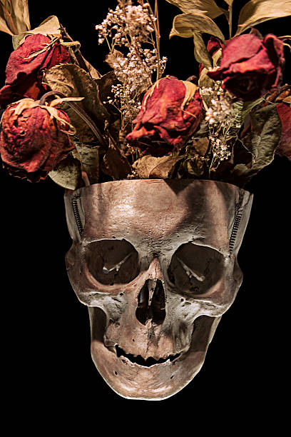 Human skull with dried roses