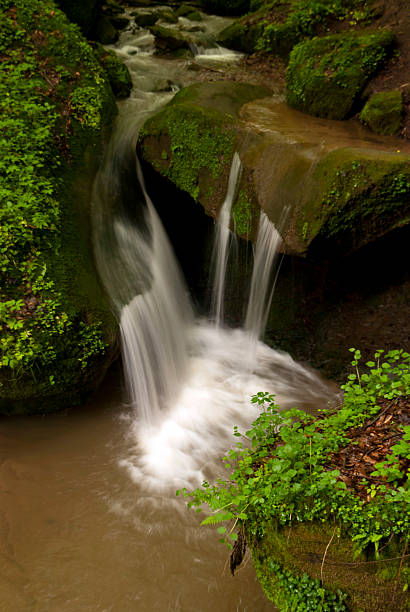 istock On the Hiking Trail Eifelsteig 467144460
