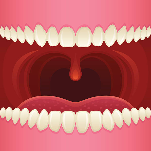 illustrazioni stock, clip art, cartoni animati e icone di tendenza di bocca aperta - ugola