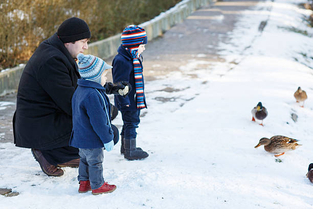 istock Father and two little siblings boys feeding ducks in winter. 467151319