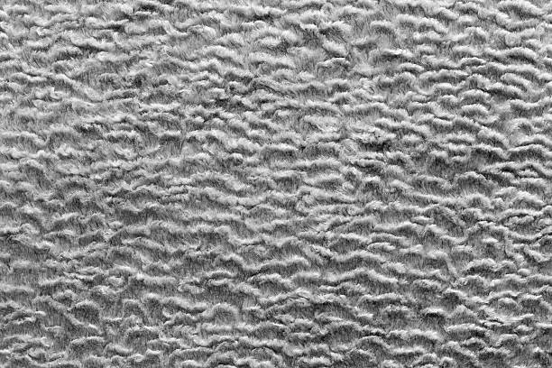 istock texture short-haired fur fabric of ashy color 467151374
