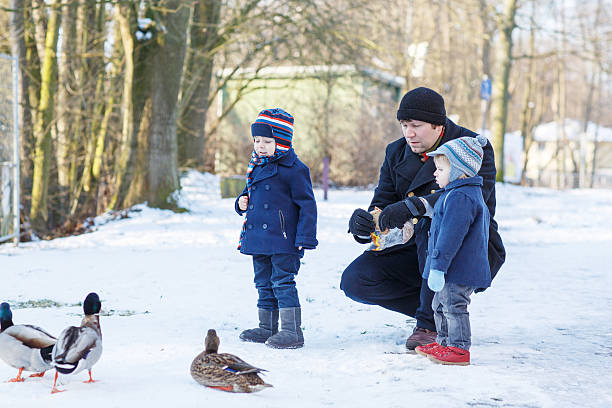 istock Father and two little siblings boys feeding ducks in winter. 467151491
