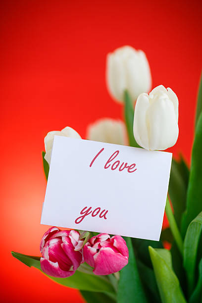 istock bouquet of tulips 467151766