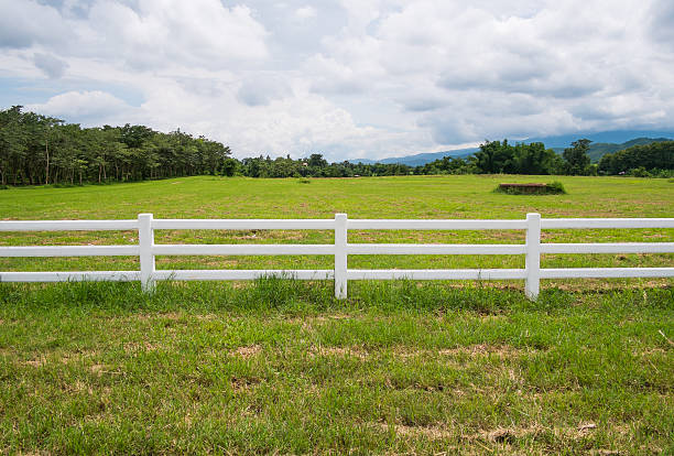 muro de fazenda campo com nublado - farm fence - fotografias e filmes do acervo