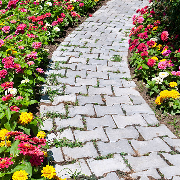 istock causeway and flower bed 467154619