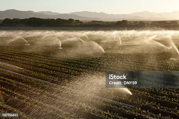 灌漑 - カリフォルニア州のストックフォトや画像を多数ご用意 - カリフォルニア州, 灌漑設備, セントラルバレー