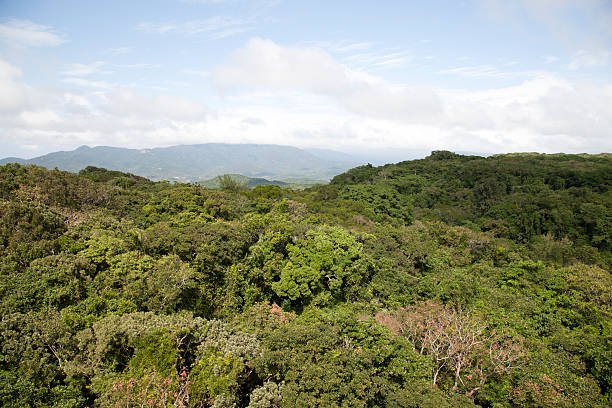 istock Kenting (Kending) National Forest recreation area, Pingtung County, Taiwan 467156258