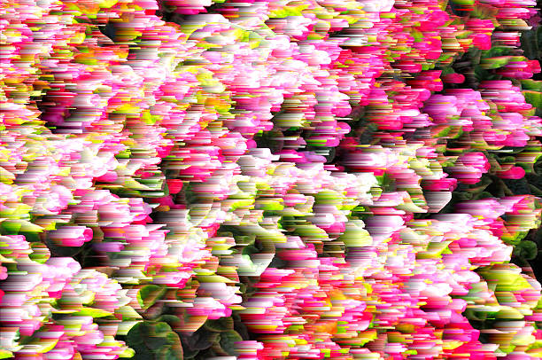 istock Abstract blurred colorful floral 467156664