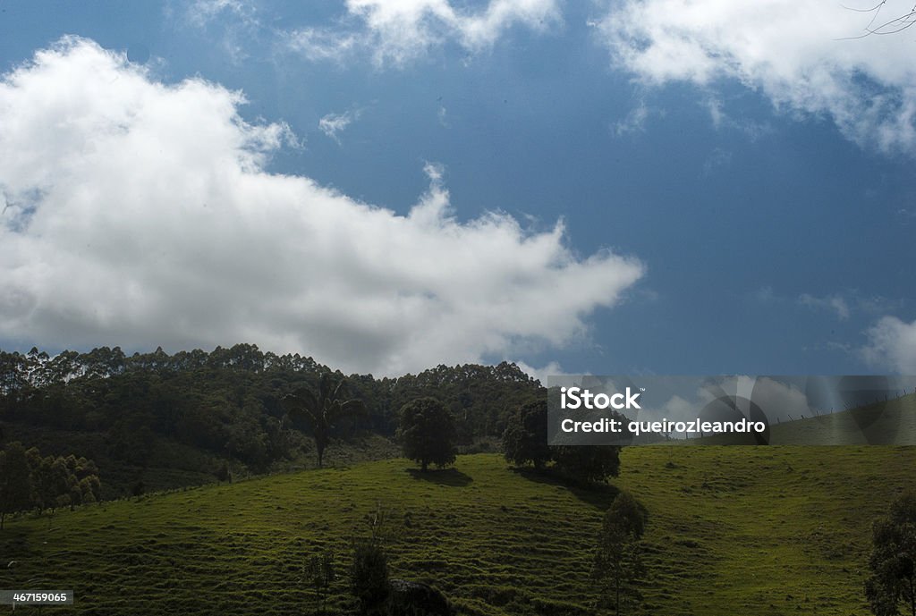 Campo - Foto de stock de Aire libre libre de derechos