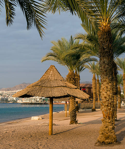 istock View on Aqaba gulf from Golden beach of Eilat 467159483