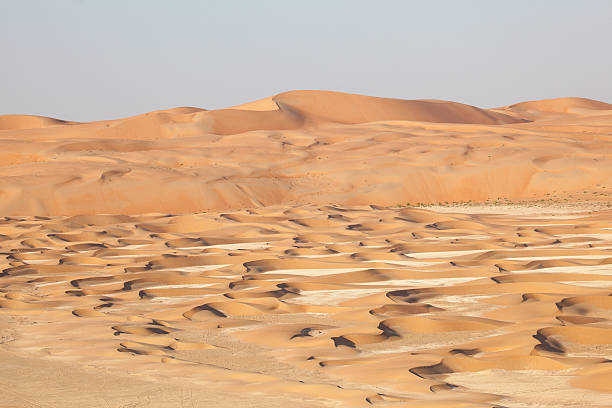 moreeb dune in oase liwa - liwa desert stock-fotos und bilder