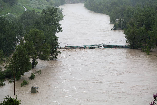 elbow river détruisent passerelle piétonne - calgary bridge flood alberta photos et images de collection