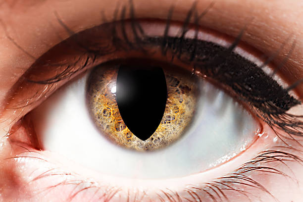 istock woman cat eye 467165768