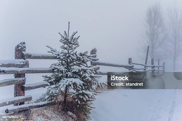 Winter Landscape Stock Photo - Download Image Now - 2015, Beauty In Nature, Carpathian Mountain Range