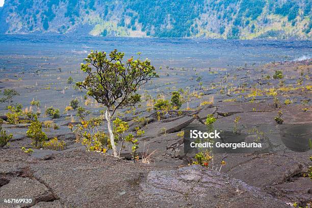 Crater Floor Stock Photo - Download Image Now - 2015, Air Duct, At The Bottom Of