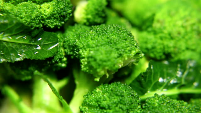 fresh broccoli