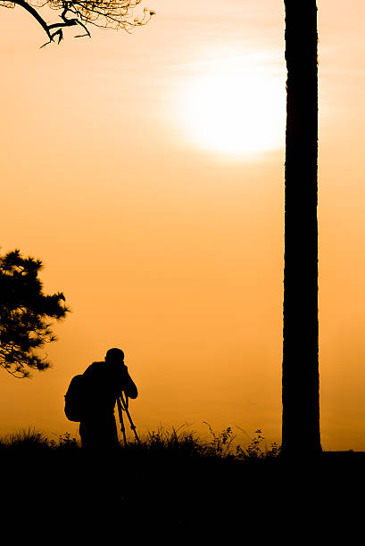 istock Silhouette photographer near the tree. 467172004