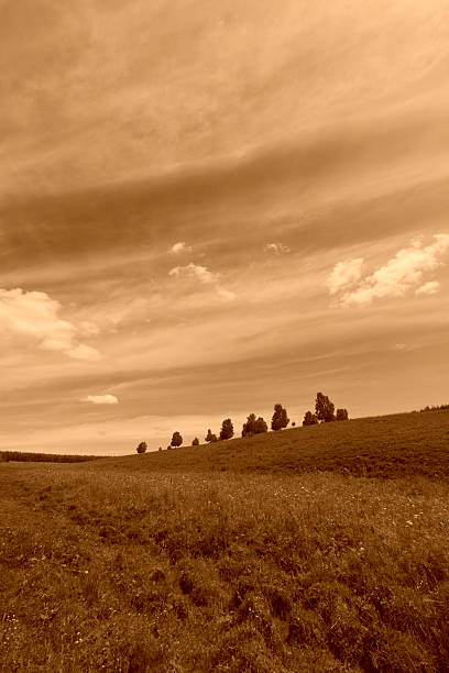 istock beautiful grassland landscape in summer 467175180