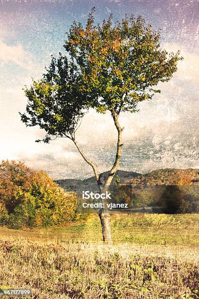 Einsame Baum Stockfoto und mehr Bilder von Abgeschiedenheit - Abgeschiedenheit, Alt, Alterungsprozess