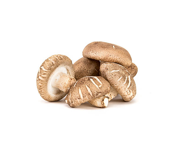 istock Chinese mushroom on white background 467181234