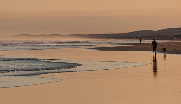 tramonto su stockton spiaggia.  porto stefani.  anna bay.  australia. - port stephens new south wales australia coastline foto e immagini stock