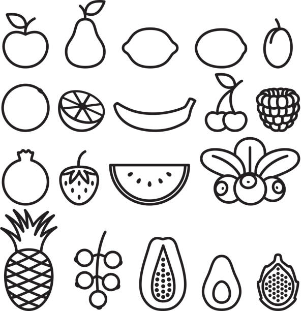 ilustrações de stock, clip art, desenhos animados e ícones de frutos e bagas em linha arte estilo. - freshness food serving size kiwi