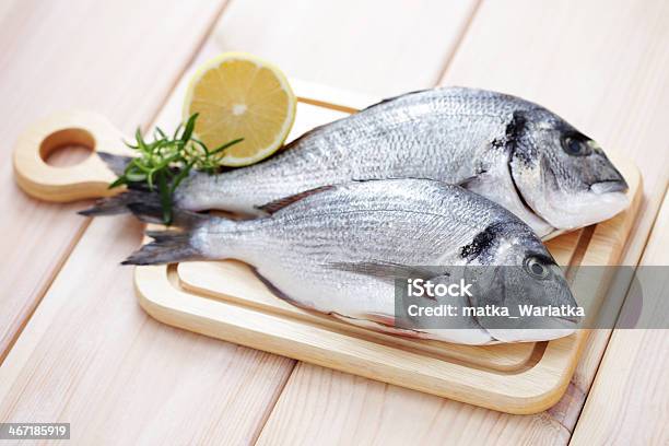 Dorada Fish Stock Photo - Download Image Now - Fish, Freshness, Herb