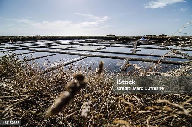 Salt Marshes Of Guerande Stock Photo - Download Image Now - Guerande, Marsh, Salt - Mineral