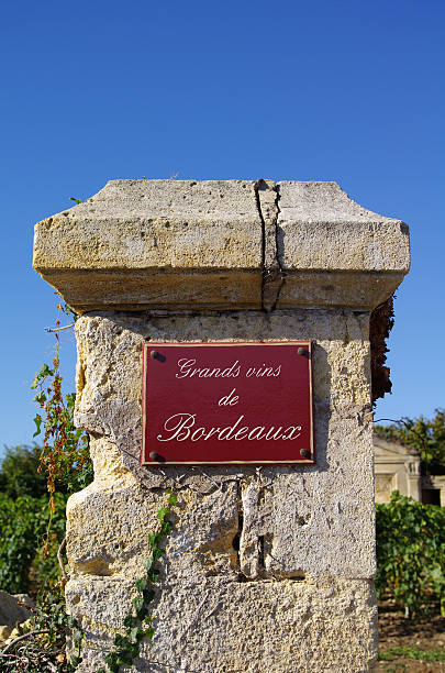 vin thème.  grands vins de bordeaux - rothschild photos et images de collection