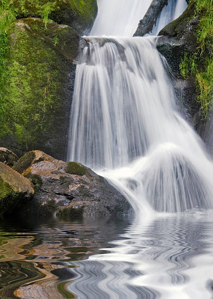 목가적인 워터풀 - black forest waterfall triberg landscape 뉴스 사진 이미지