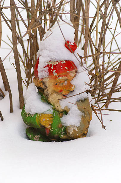 Garden gnome in the snow Garden gnome in the snow mickey mantle stock pictures, royalty-free photos & images