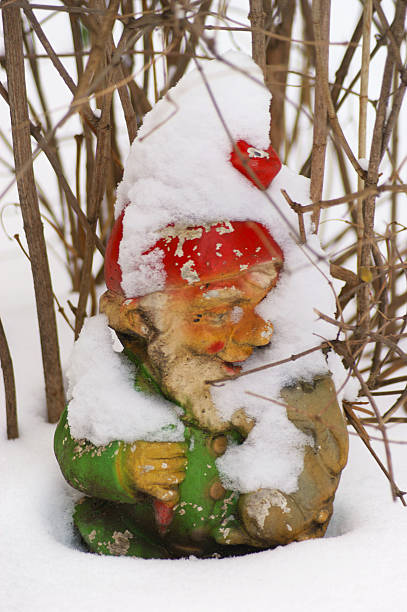 Garden gnome in the snow Garden gnome in the snow mickey mantle stock pictures, royalty-free photos & images