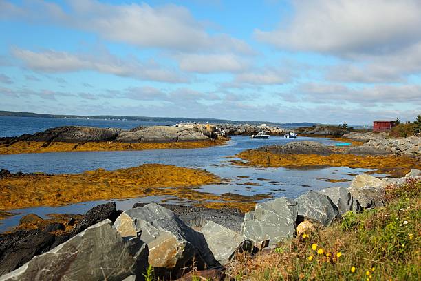 istock Seascape at Blue Rocks ,Nova Scotia , Canada 467200974