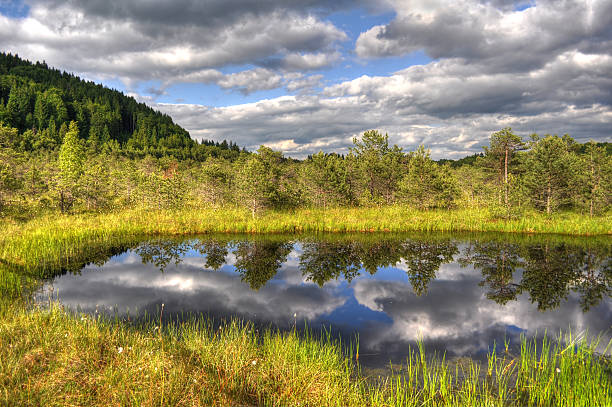 istock Mountain lake, Romania 467208963