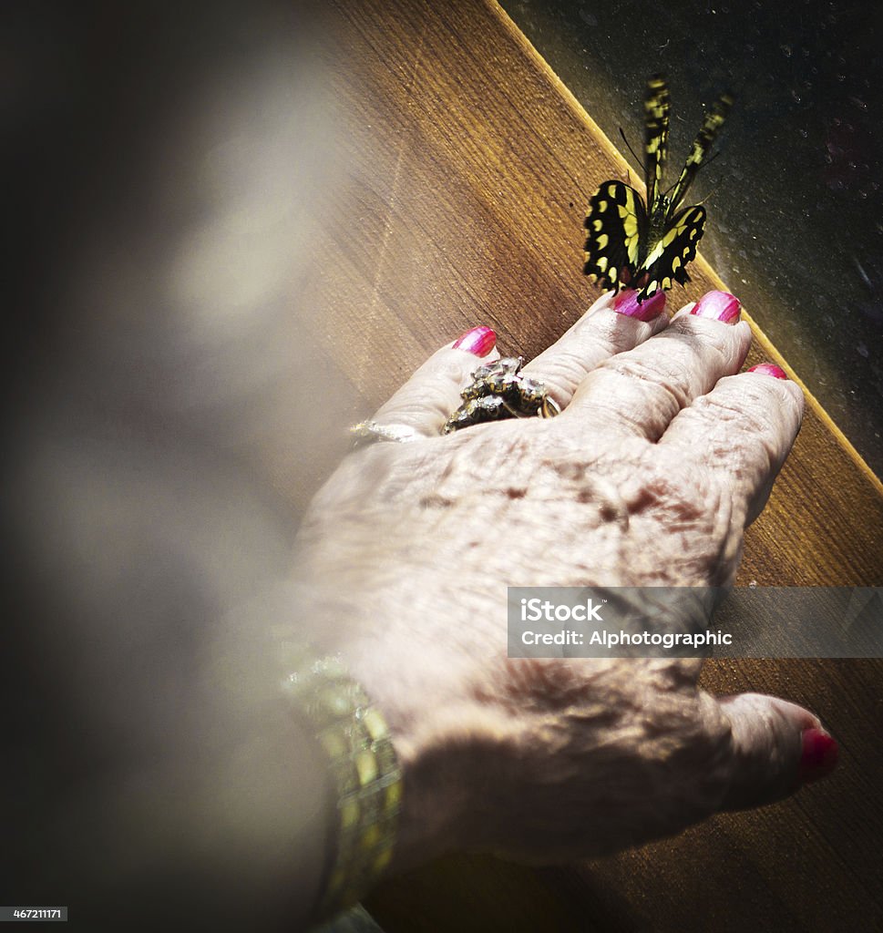 Large butterfly on woman's hand An 80 year old woman holding a large iridescent butterfly. Motion Stock Photo