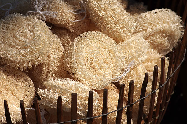 luffa sponges group of luffa sponges loofah photos stock pictures, royalty-free photos & images