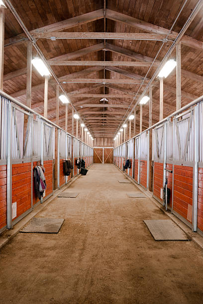 Horse Barn Animal Sport Paddock Equestrian Ranch Racing Stable The center path through a horse barn light at the end of the tunnel corral stock pictures, royalty-free photos & images