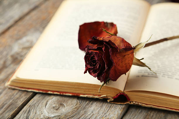 istock Dried roses on grey wooden background 467216042